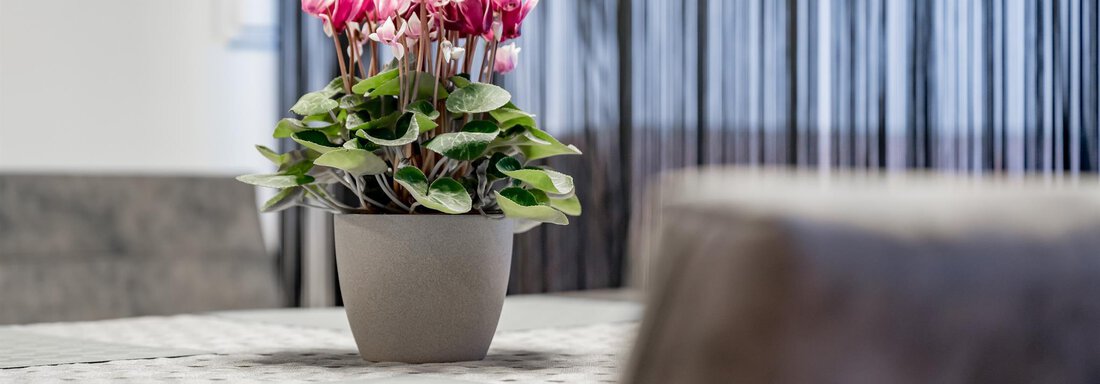 Studio - Detail - MYALPS Jordans Lodge - Längenfeld