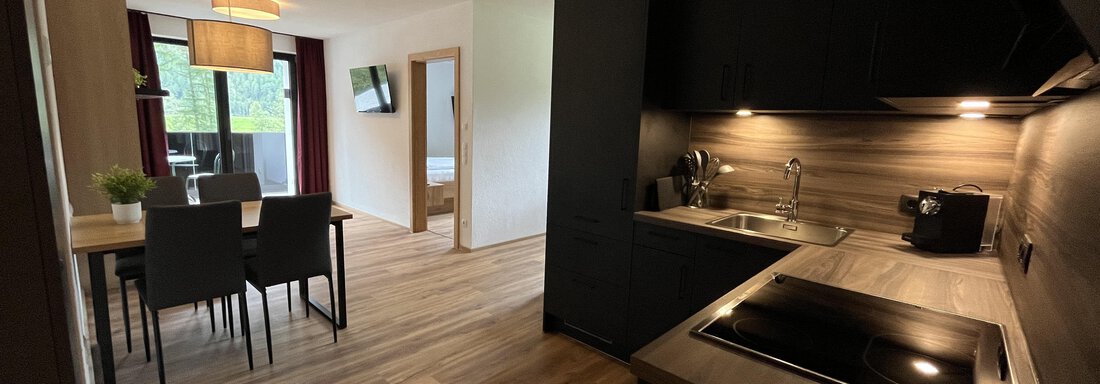 combined kitchen and living room - Panorama Peak Apartment - Längenfeld