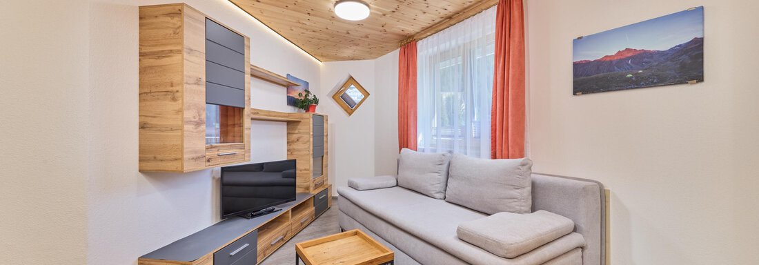 A modern living room with a wooden ceiling and a comfortable gray sofa. The room has a television and decorative elements that create a cozy atmosphere. - Appartement Lea - Niederthai