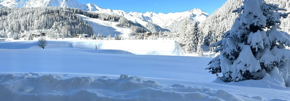 Appartementhaus Leiter Winter1 - Appartement Leiter Niki - Niederthai