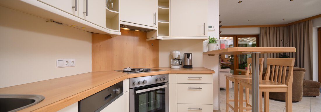 A fully equipped kitchen with refrigerator and freezer, coffee maker, kettle, microwave, oven, and dishwasher. - Delano Appartements - Niederthai