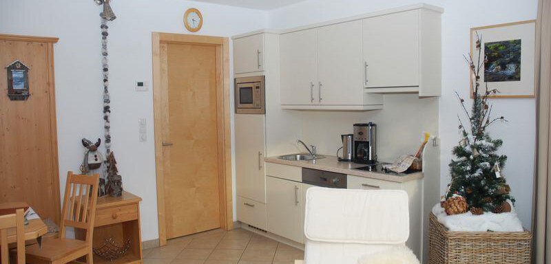 kitchen - Delano Appartements - Niederthai