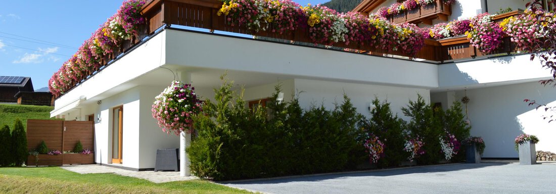 view summer view summer - Delano Appartements - Niederthai