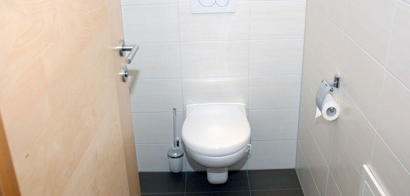 toilet - Delano Appartements - Niederthai