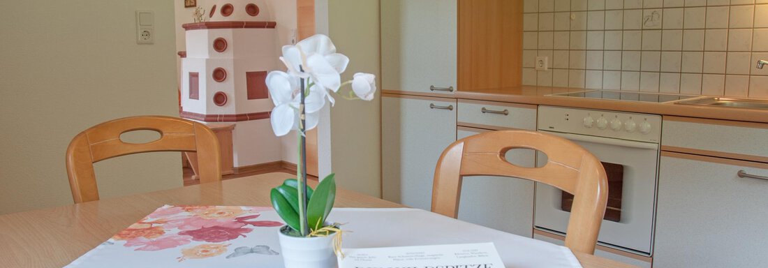 FW Typ B Küche Leistungsträger - Haus Lärchenwald - Niederthai