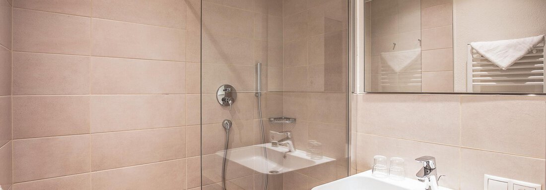 FS Alpenrose (ohne Balkon) 6 (1) - Hotel Falknerhof, am Ursprung - Niederthai
