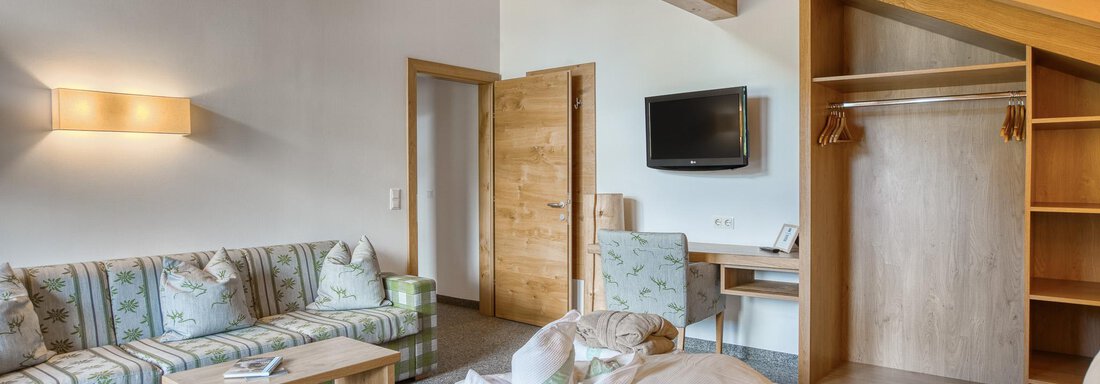 Ein gemütliches Zimmer mit Holzdecke und modernem Design. Es gibt ein Sofa, einen Fernseher und einen Kleiderschrank. - Hotel Falknerhof, am Ursprung - Niederthai