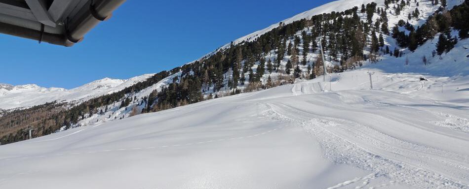 A snowy landscape with gentle hills and numerous green trees. The clear blue sky complements the winter scenery. - Haus Christophorus - Obergurgl 