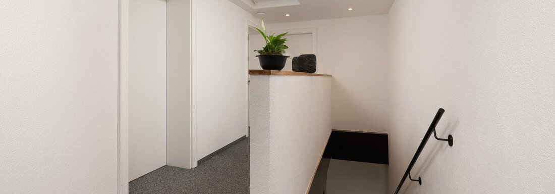 A bright hallway with a gray carpet and minimalist design. A potted plant stands on the boundary to the staircase. - Mountain Lodge Obergurgl - Obergurgl 