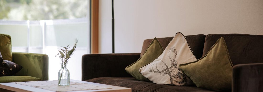 Ein modernes Wohnzimmer mit einem dunkelbraunen Sofa und zwei dekorativen Kissen. Ein Holztisch mit einer kleinen Vase steht in der Mitte, während große Fenster Licht hereinlassen. - Apartment Waldesruh - Ochsengarten