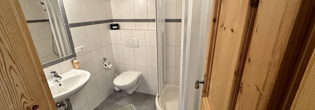 A small bathroom with a shower, sink, and toilet. The wooden ceiling and tiles give the room a cozy atmosphere. - Ferienhaus Föger - Ochsengarten