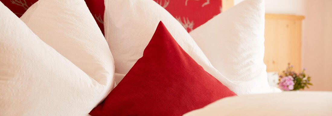 Walderhof_März2026_SarahNeuner_WEB_2C3A4816 - Gasthof Walderhof** - Ochsengarten