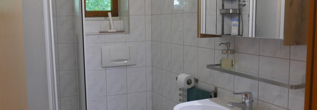 T4_Bad1 - Apart Auenstein - Oetz