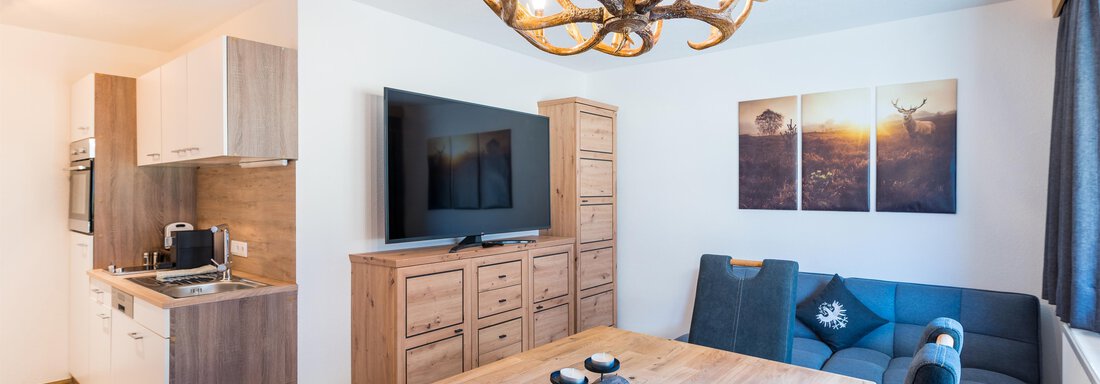 Appartement TOP 1 Appartement TOP 1 - Appart Bergwelt - Oetz