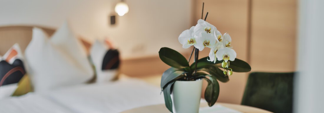 sleeping room - Appart Mein Fiegl - Oetz