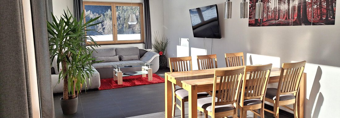 1000044730 - Appartement Gstrein - Oetz