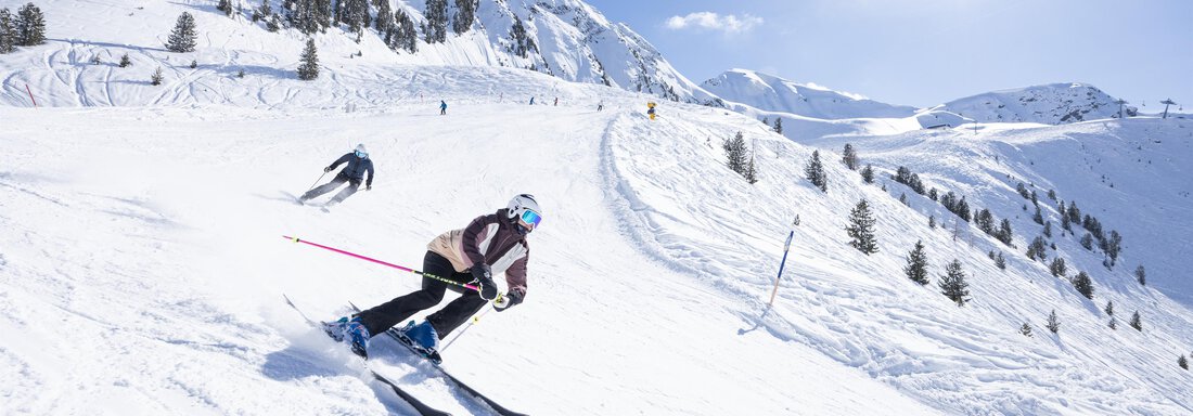 hochoetz_Alpinski-Print-by-BAUSE-079 - glückseligs Ferienwohnungen - Oetz