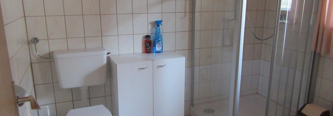 Badezimmer Dusche und WC - Haus Diana - Oetz