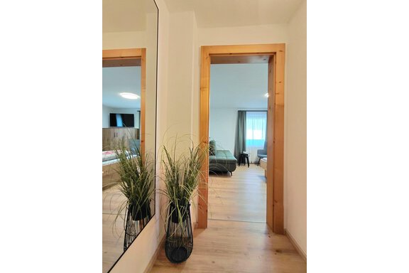 A bright hallway with a large mirror and a plant. Through the door frame, one can see a cozy room. - Haus Gstrein - Oetz