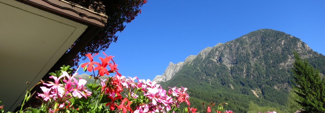 Doppelzimmer_Oetz_Ötztal_5 - Haus Marita - Oetz
