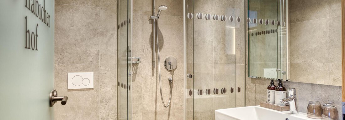 20250404 #212 DZ Deluxe 4 - Hotel Habicher Hof - Oetz