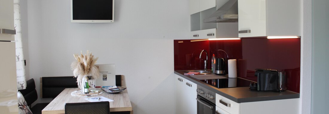IMG_3781 - Panorama Appartements Mora - Oetz