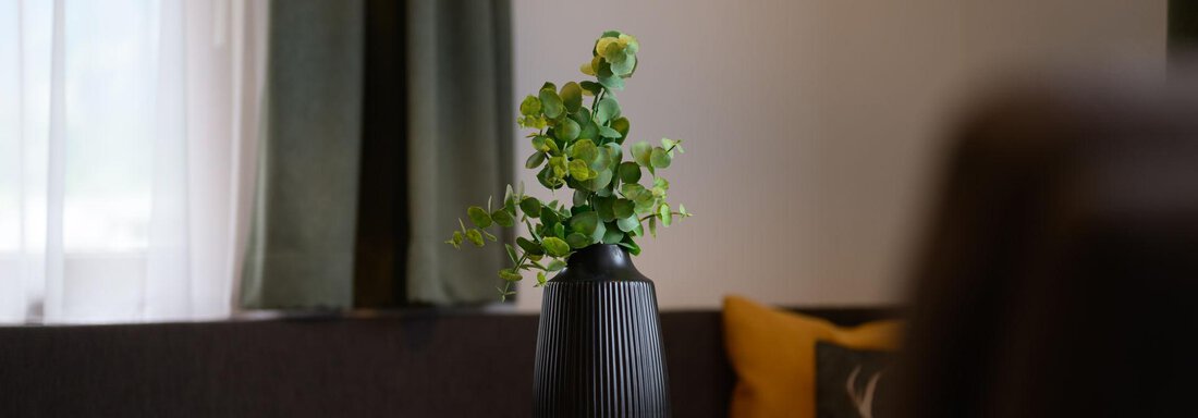 49 - Pienz Apart-49 - Oetz