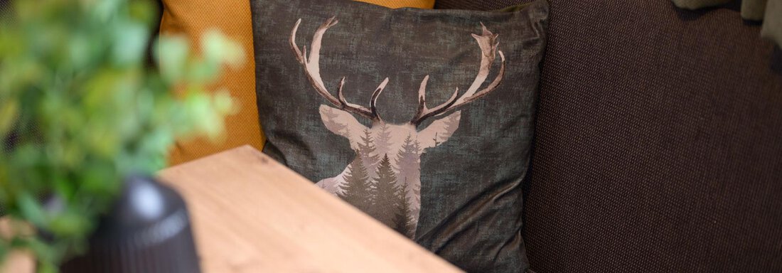 50 - Pienz Apart-50 - Oetz