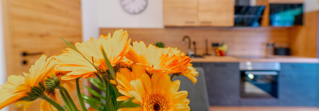 01-02-Kueche-Moritz - Oetztaler Lausbubenhaus Max & Moritz - Ötztal Bahnhof