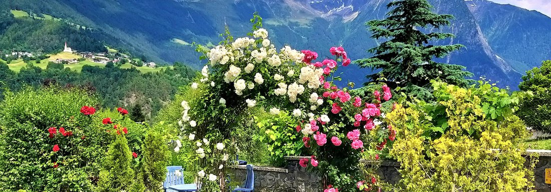 Rosengarten mit herrlichem Bergpanorama(3) - Ferienhaus Alpina - Sautens