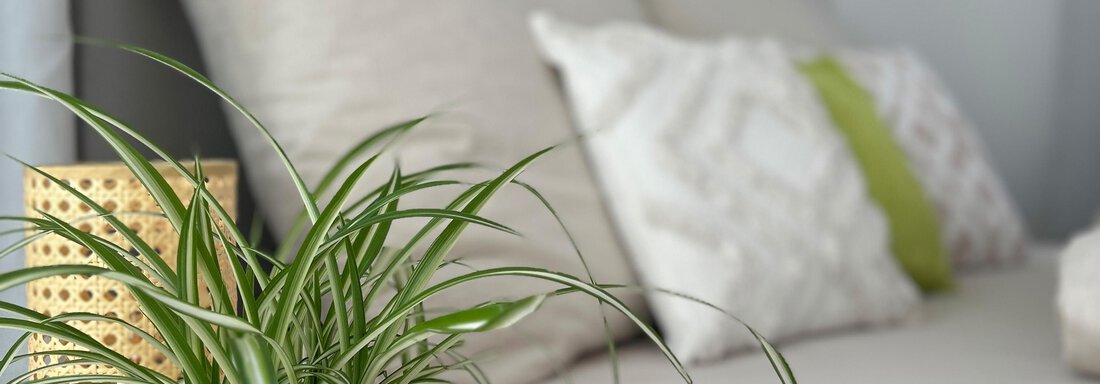 Zimmer_2-Pflanze-Bett - Haus Dahuam - Sautens