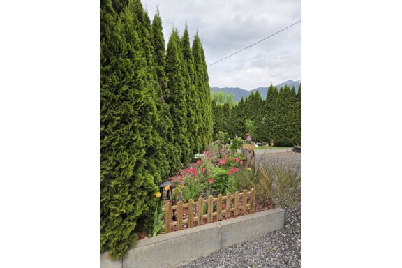 1000076016 - Jassy - Sautens