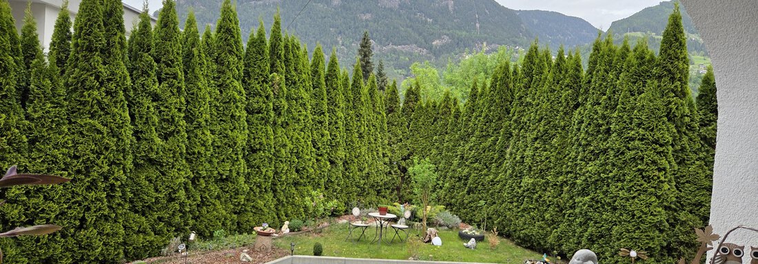 1000076021 - Jassy - Sautens