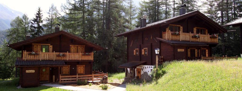 Two charming wooden chalets in a picturesque mountain landscape. Surrounded by green meadows and tall trees, they radiate alpine coziness. - Almdorf Waldesruh - Sölden