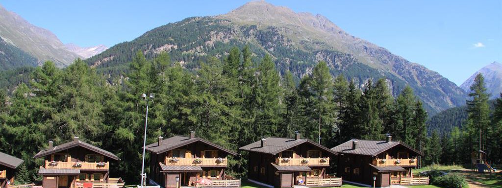 Beautiful wooden houses surrounded by trees in a mountainous landscape. The sky is clear and nature is green. - Almdorf Waldesruh - Sölden