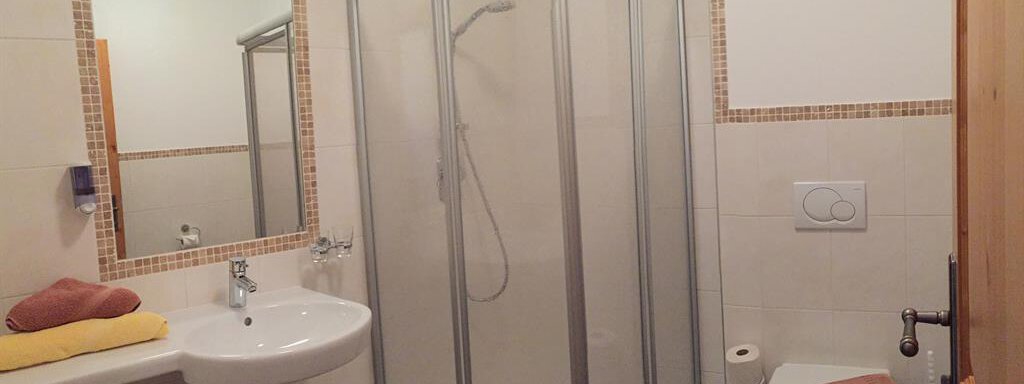 A modern bathroom with a shower, sink, and toilet. Towels in soft colors complement the decor. - Andis Almdorf - Sölden