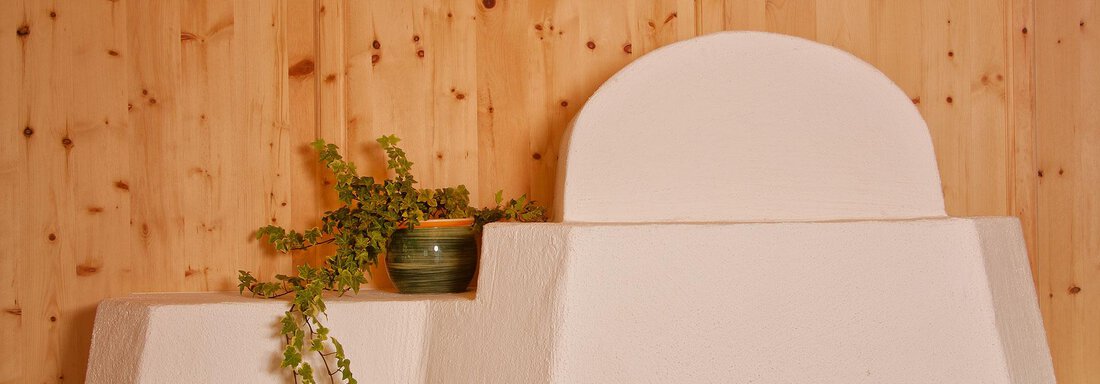 A minimalist interior with white walls and wood paneling. On one of the walls, there is a pot with a plant. - Andis Almdorf - Sölden