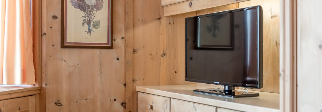 A cozy room with wooden paneling, a television, and a floral painting on the wall. The windows are adorned with light curtains. - Apart Hotel Garni Wieser - Sölden