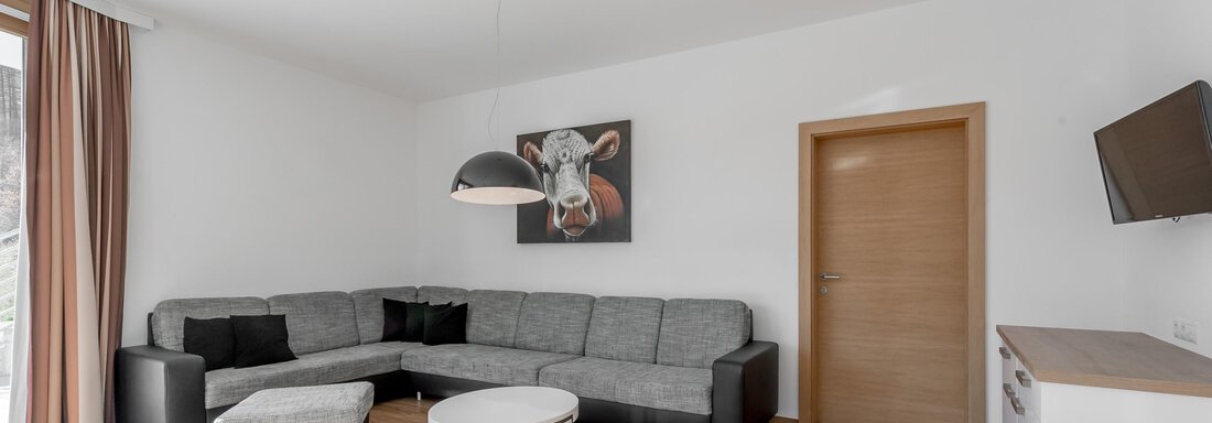 A modern living room with a gray sofa and a coffee table. A picture hangs on the wall, and a television is mounted. - Apart Hotel Garni Wieser - Sölden