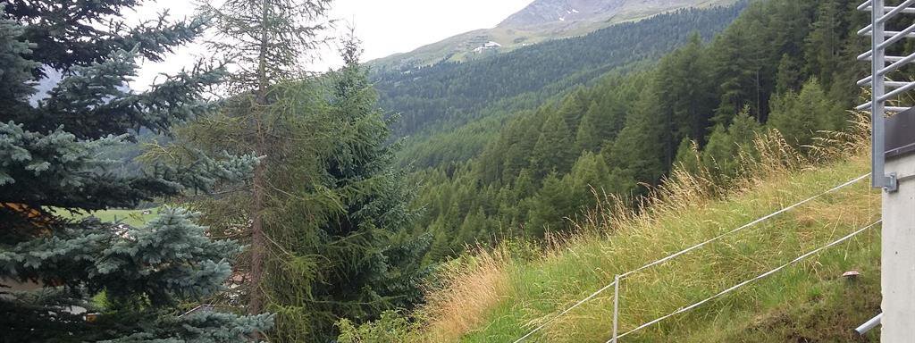 A green mountain landscape with dense coniferous trees and gentle hills. In the background, there are high mountains and a cloudy sky. - Apart Hotel Garni Wieser - Sölden