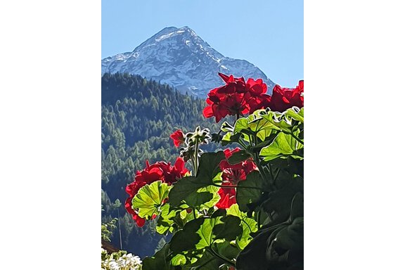 Ausblick Haus Fabio( NEDERKOGL) - Appartement  Fabio - Sölden