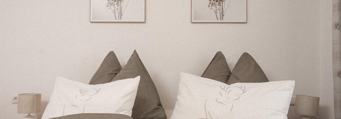 Frieda | © Andreas Ebermann, Appt. Gehörde - Sölden (CC C) A cozy bedroom with two single beds and decorative pillows. On the wall, there are two pictures of plant motifs. - Appartement Gehörde Sölden - Sölden