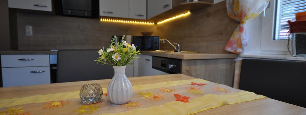 A modern kitchen with light furniture and a table decoration of fresh flowers. The atmosphere is friendly and welcoming. - Appartement Harmonie - Sölden