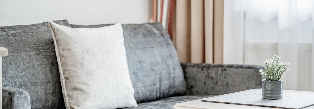 A stylish living room with a gray sofa and a small table. On the table, there is a plant and a pillow on the sofa. - Appartementhaus Kathrin - Sölden