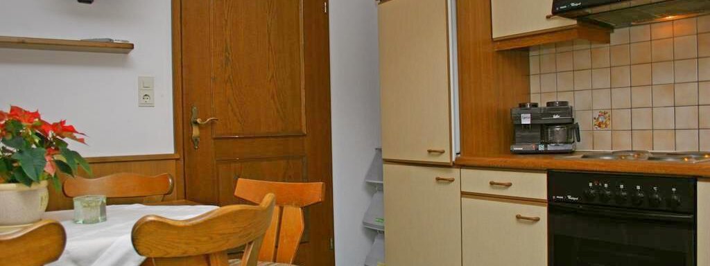 A cozy kitchen with wooden cabinets and a dining table. The walls are light and a plant is on the table. - Appt. Schnöller - Sölden