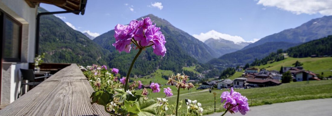 A blooming windowsill with purple flowers and green plants. In the background, mountains and a clear blue sky can be seen. - Belledonne Ski in & out Appartements - Sölden