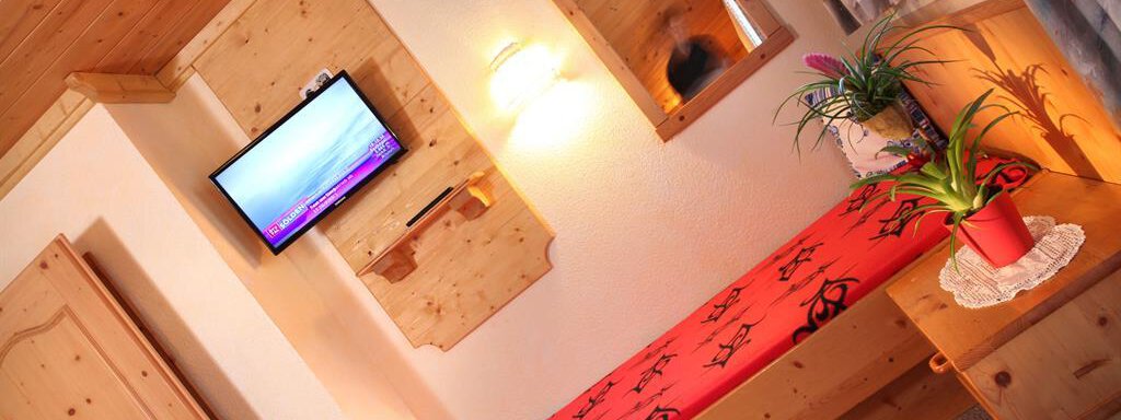 A cozy room with wooden paneling and a simple bed. A television hangs on the wall and a plant is on the table. - Erbhof - Sölden