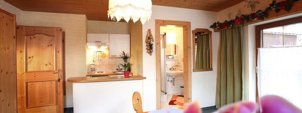 A cozy apartment with wooden details and an open kitchenette. The living room is welcoming with a blooming plant in the foreground. - Erbhof - Sölden