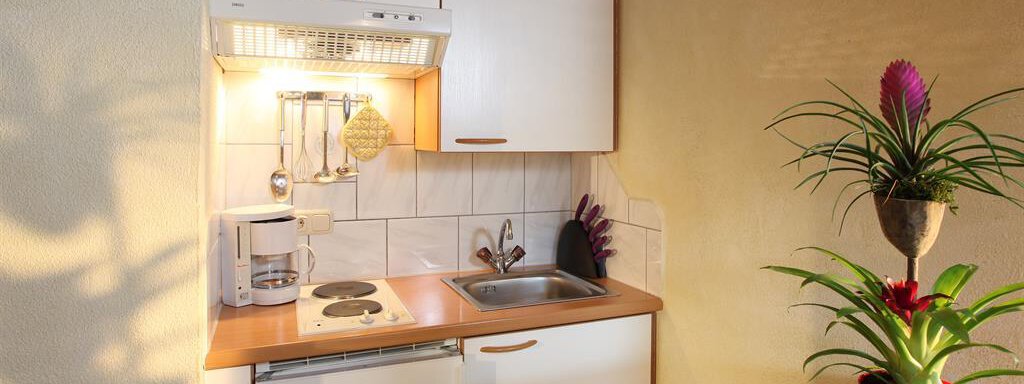 A small, modern kitchen with white cabinets and a wood countertop. On the table, there is a green plant in a red pot. - Erbhof - Sölden
