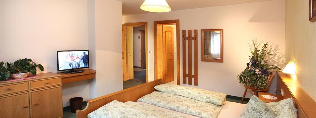 Doppelzimmer ohne Balkon A cozy room with two beds and a TV corner. The decor is simple and bright, decorated with plants. - Erbhof - Sölden